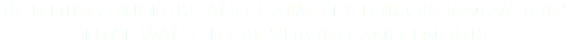Building culture and capacity for organizations that want to be strong and endure
